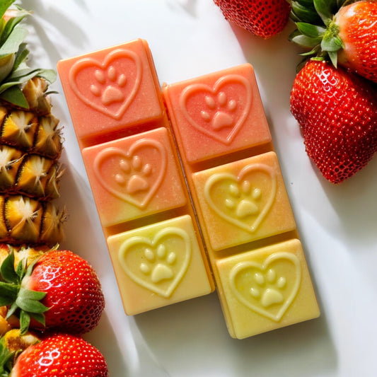 Fruity Wax Melt Bar